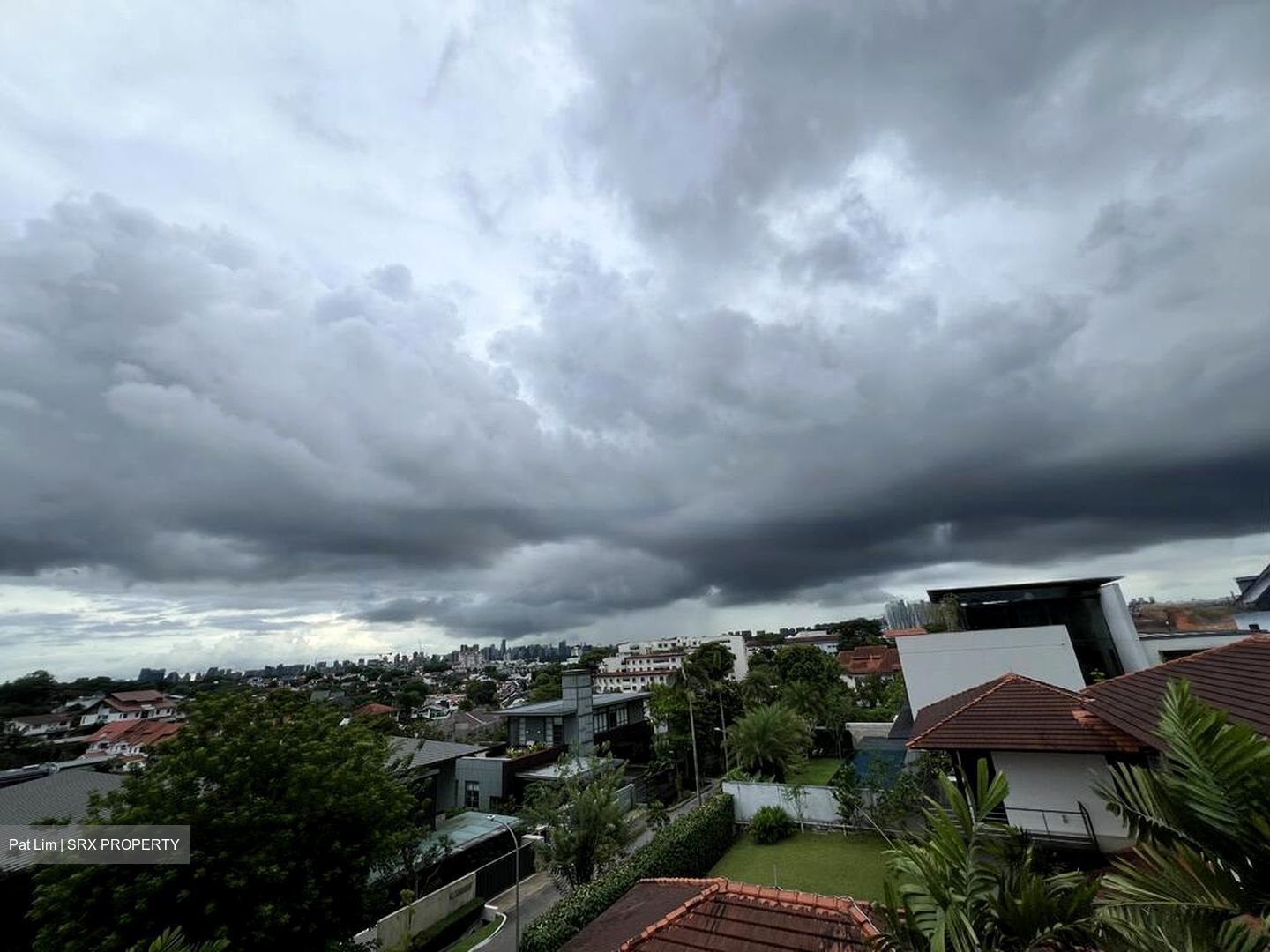 Raffles Park (D11), Detached #453038761